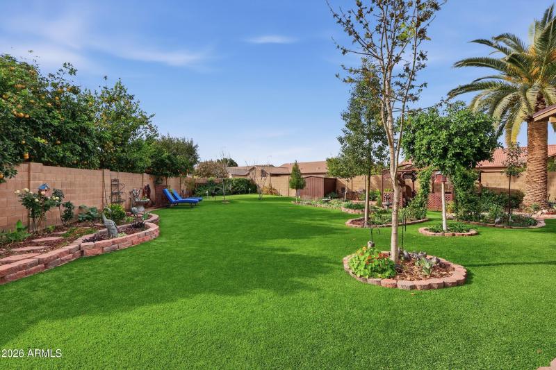 Gorgeous Low Maintenance Yard