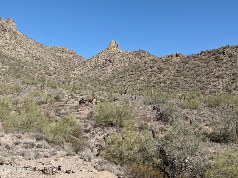 PXL_20210204_194552540