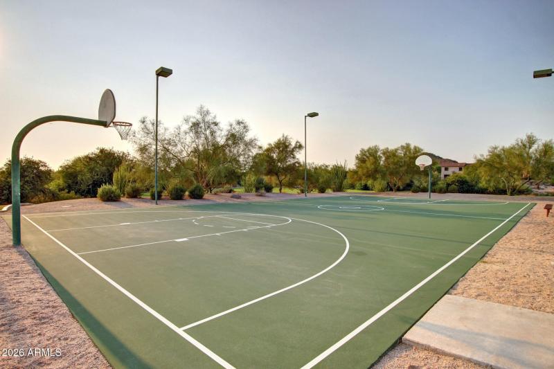 Basketball Court