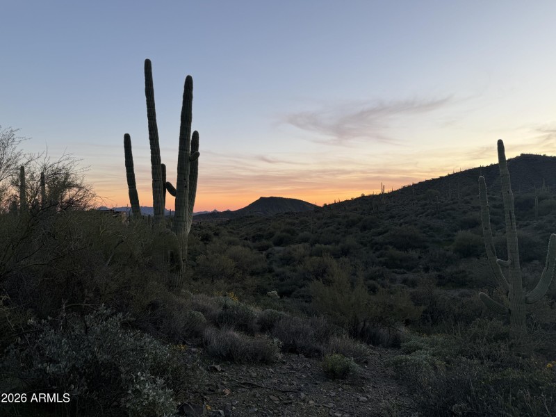 009_Sunset Silhouettes