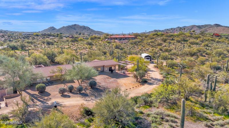 In the Foothills of Cave Creek