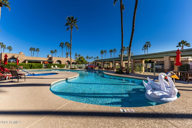 Beautiful Pool & Spa