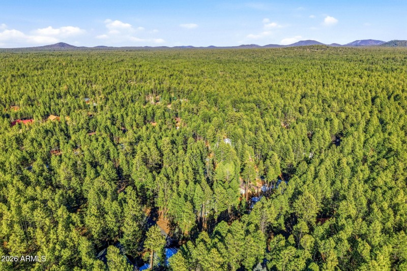 8574EastLn-Pinetop-AZ-41
