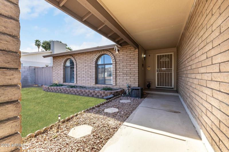 Front yard - from porch, when grass