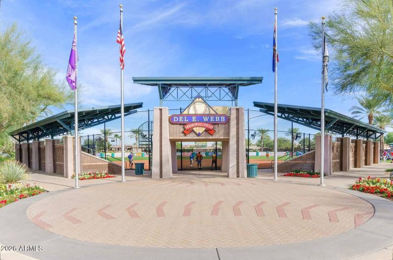 The Grand Ball Field