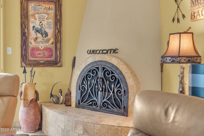 Custom screen on beehive fireplace