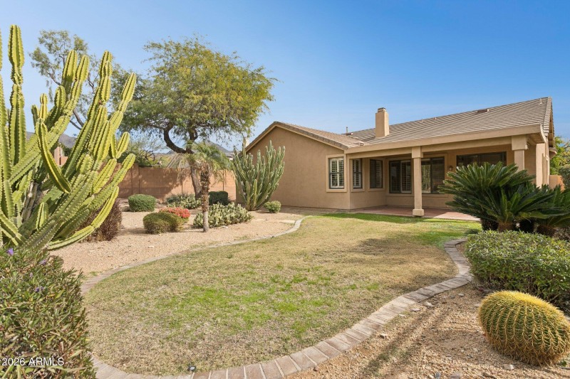 Desert and Grass Backyard