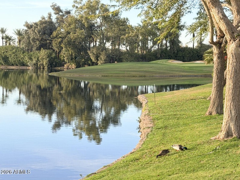 49473B02-AF80-4533-9715-E330C49AB845_1_1