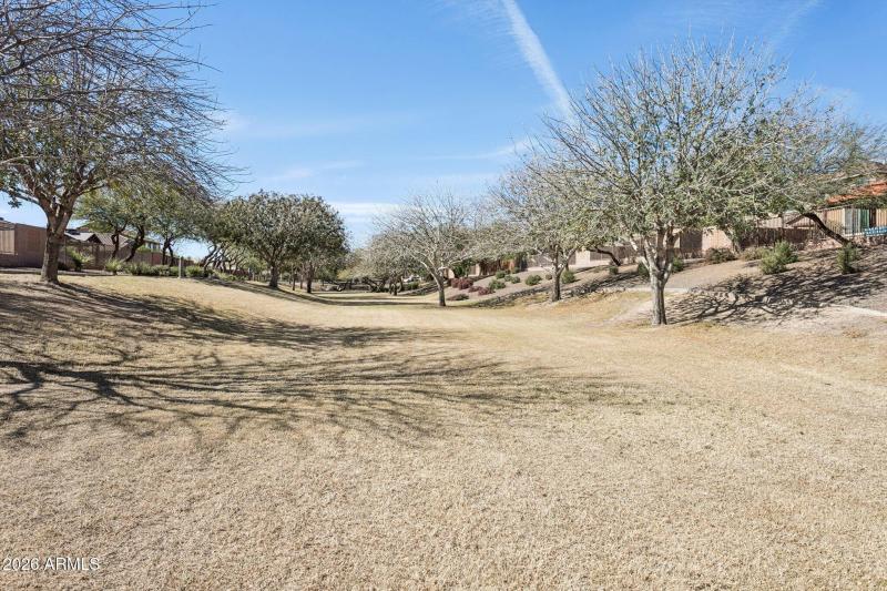 Huge Community Area for Fun