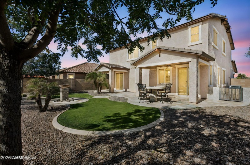 Professionally Designed Backyard