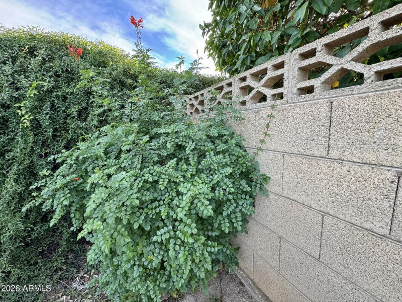 block wall all around