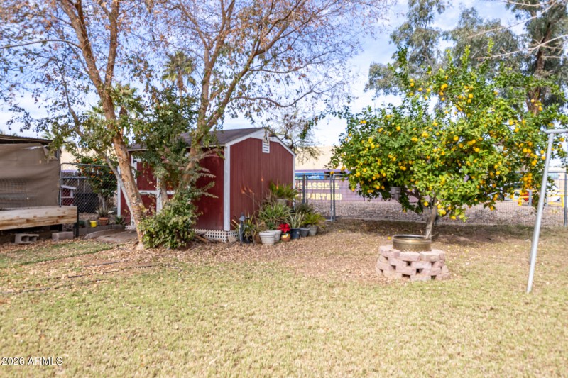 Shed/Fruit Trees