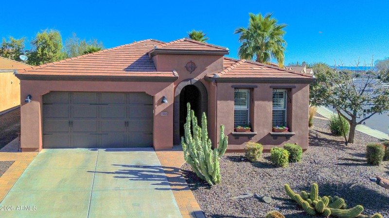 Sweet Citrus_Drone-9