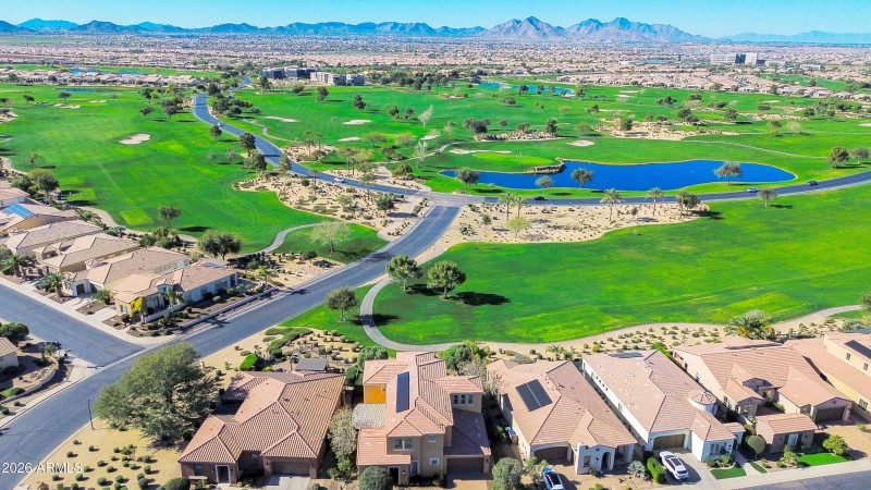 Sweet Citrus_Drone-4