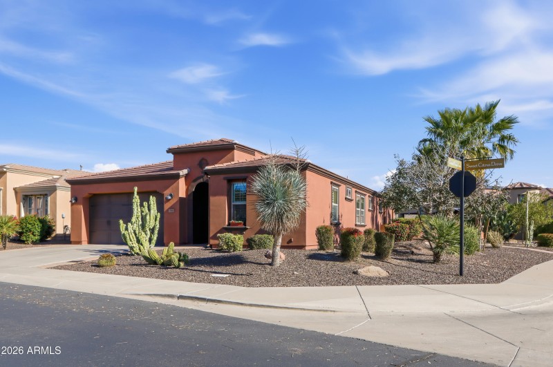 Sweet Citrus_Exterior-01