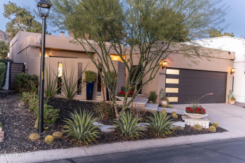 5X7A2218-DxO_DeepPRIME 3