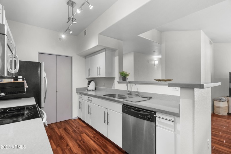 15-20260206-DSC07377