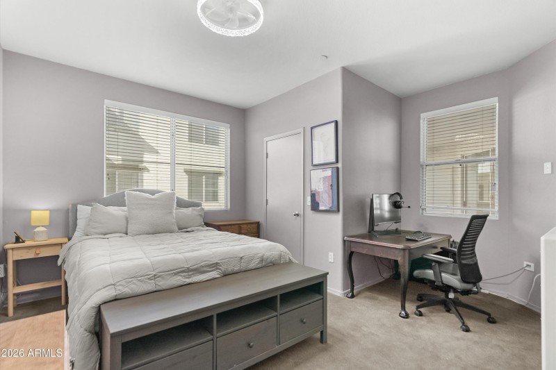 18-20260206-DSC07386