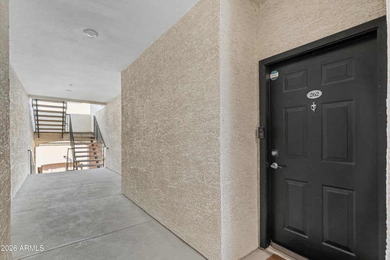 29-20260206-DSC07419