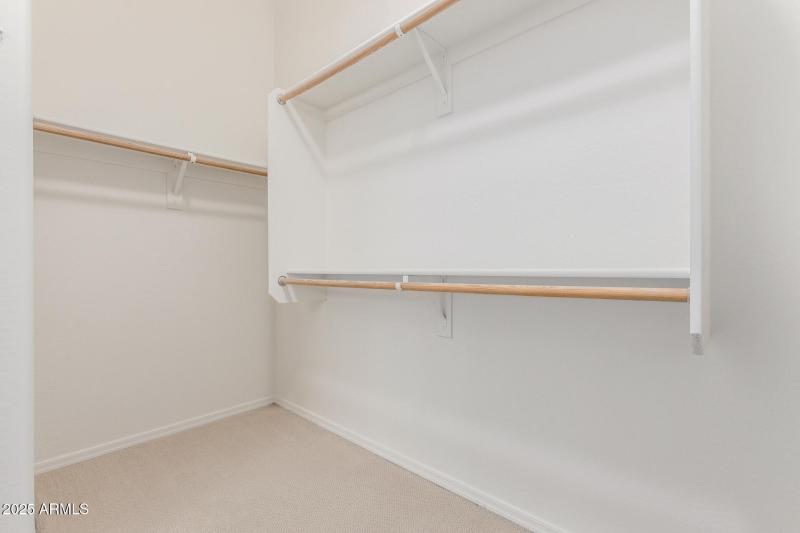 Primary Closet Poinsettia