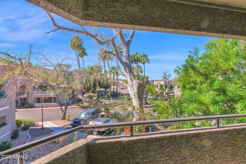 17-web-or-mls-P1492661