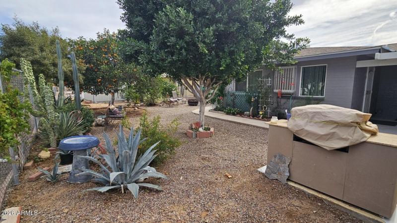 20260205_122641_resized