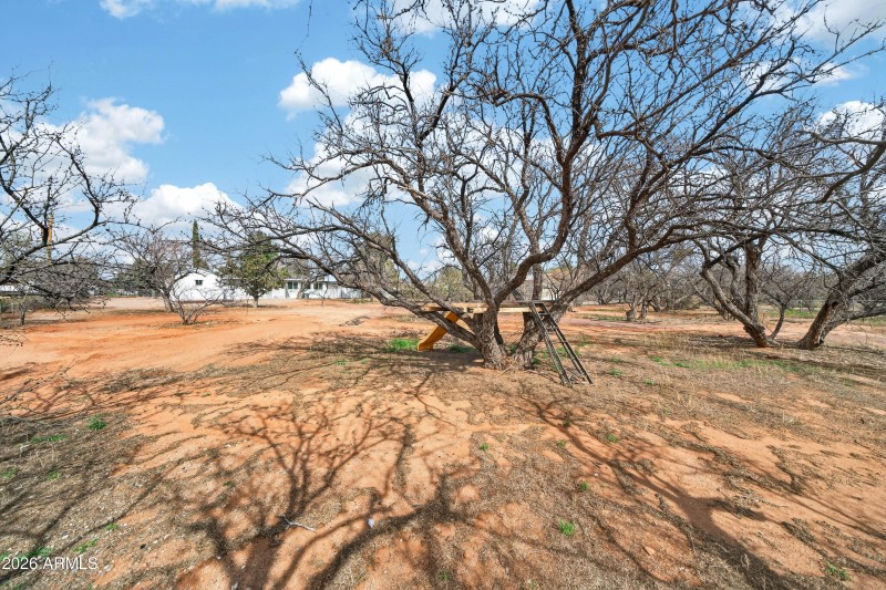 Exterior - 3344 Quail Run Dr-8