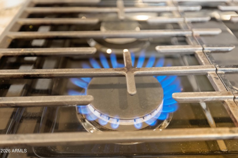 17168_W_Running_Deer_40