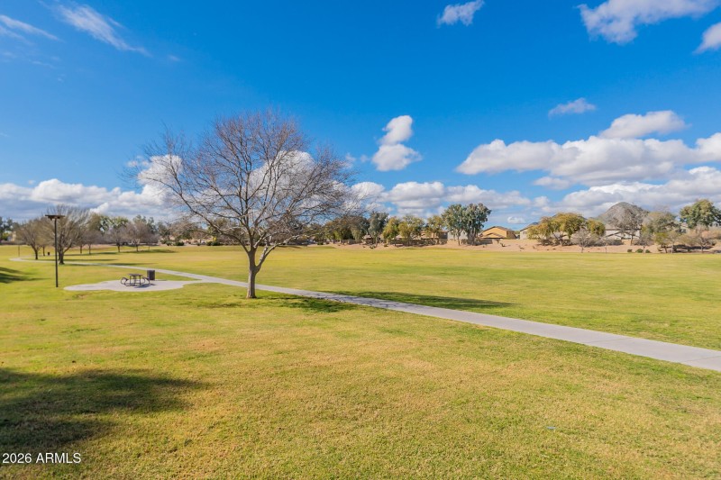 Green Space and Walking Path