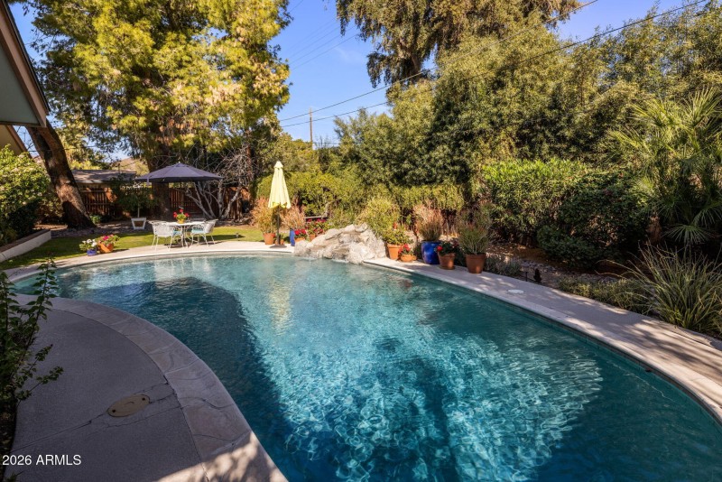 Beautiful Pool & Yard