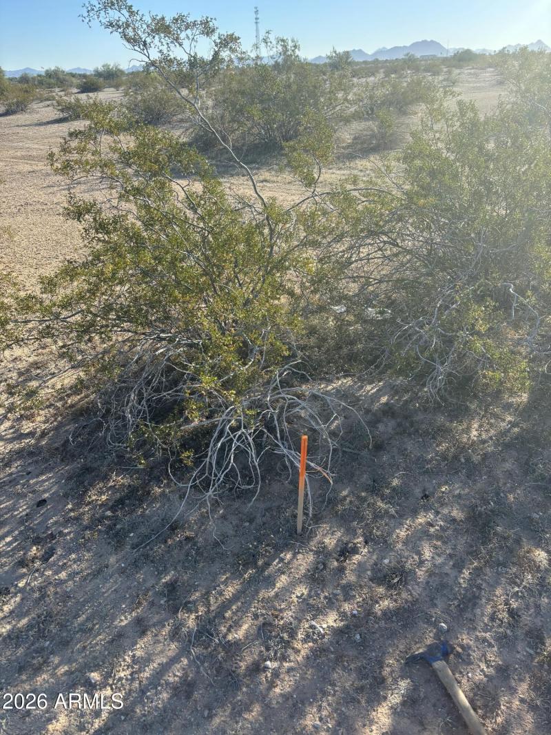 C2686705-9134-4287-AA02-C5078D0C3A89