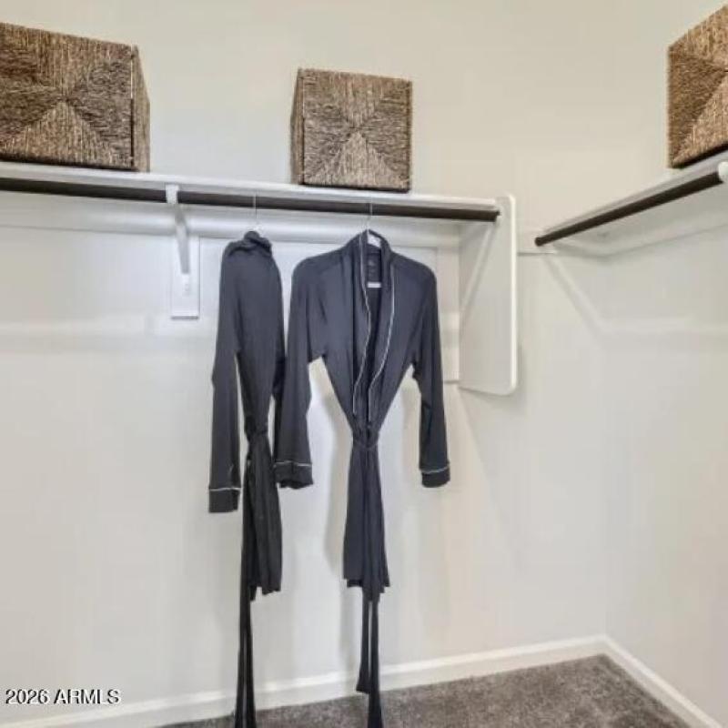 Owners Walk in Closet