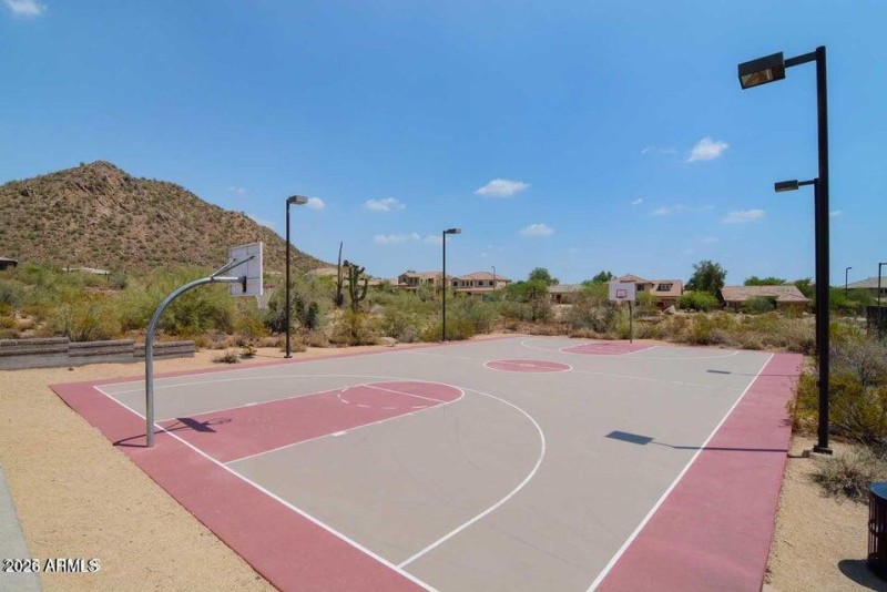 Basketball Court