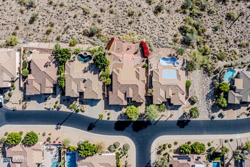Blooming Bougainvillea!