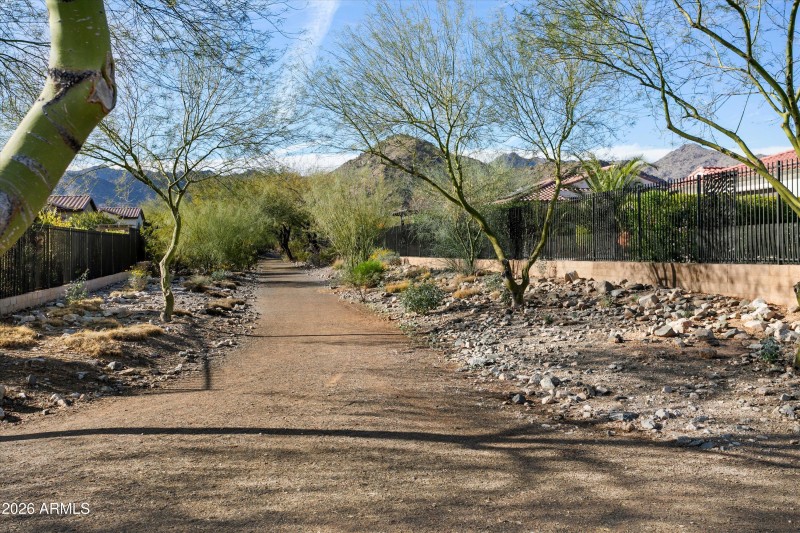 Trail across from home