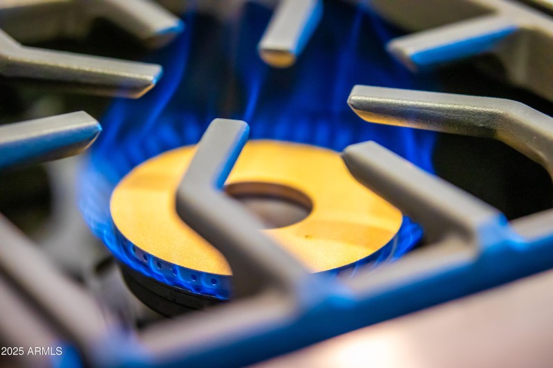 27589 N 61st Pl-----9