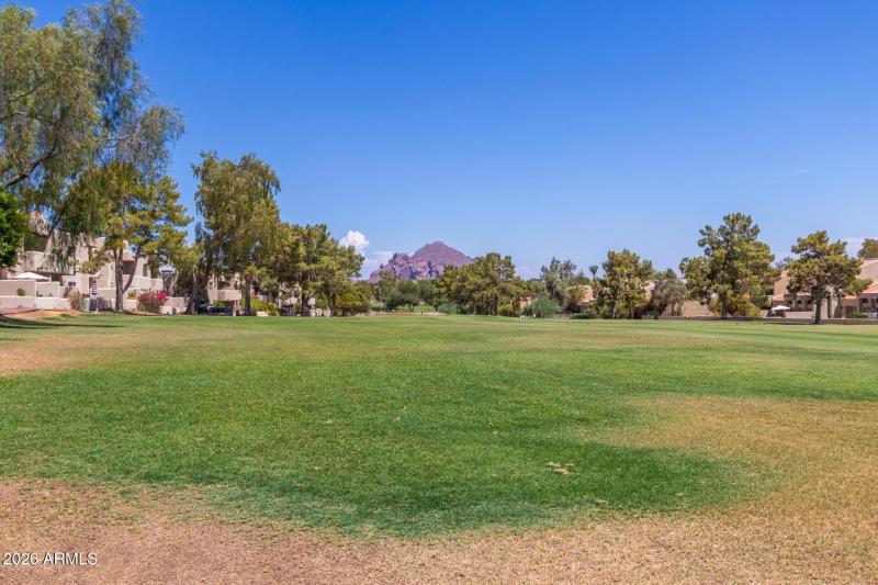 Community Green Space