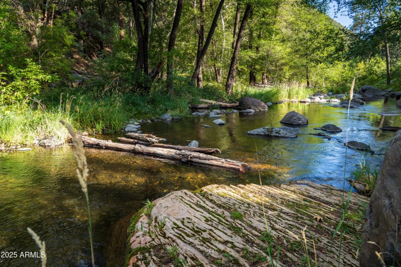 PICNIC ON THE CREEK