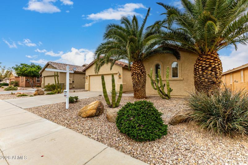 Lush Desert Landscaping