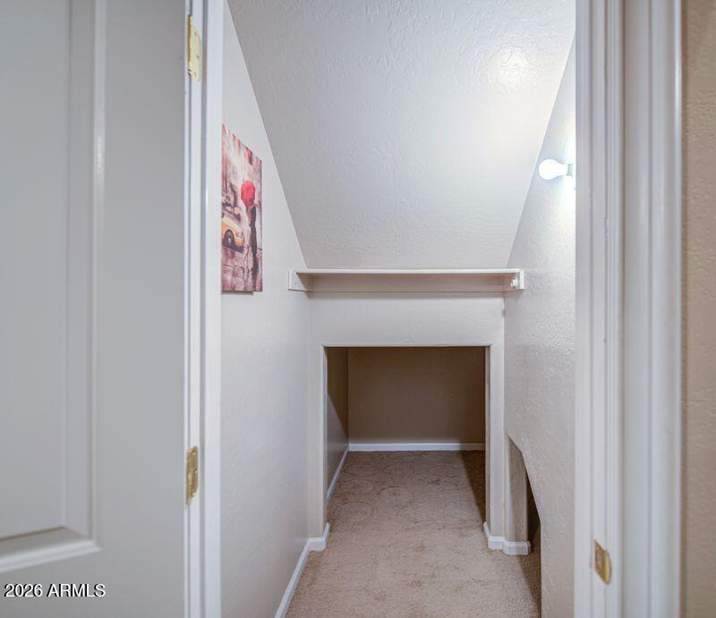 37 Under Main Stairs Storage