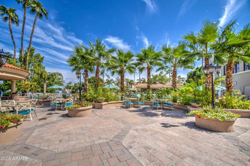 135 VVL Queen Palm area