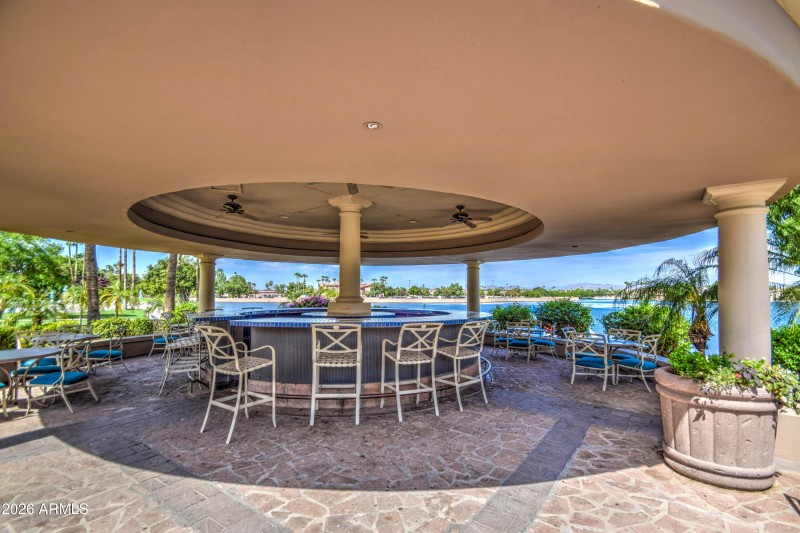 139 VVL Queen Palm Close Up