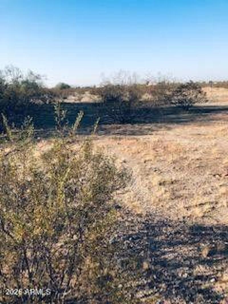 20210714042254435200000000-o