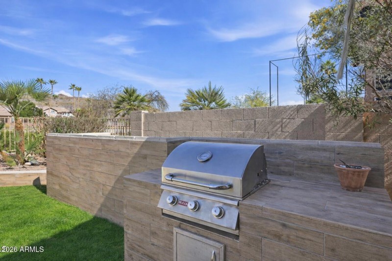 Backyard grill with desert backdrop (2)
