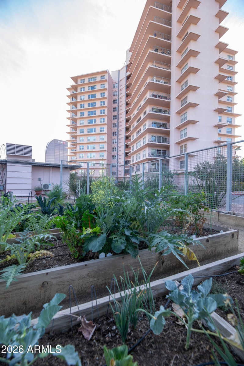 2201 N Central garden boxes