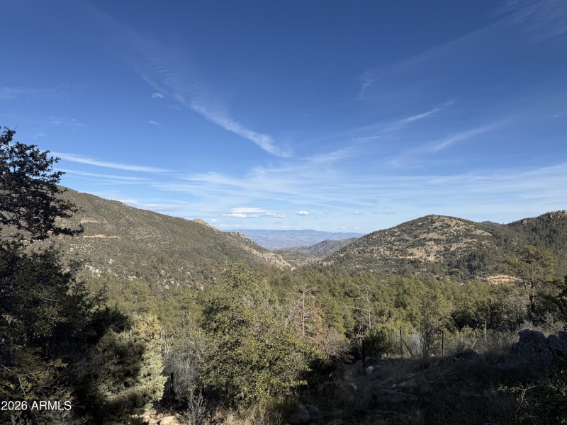 Views from the back yard