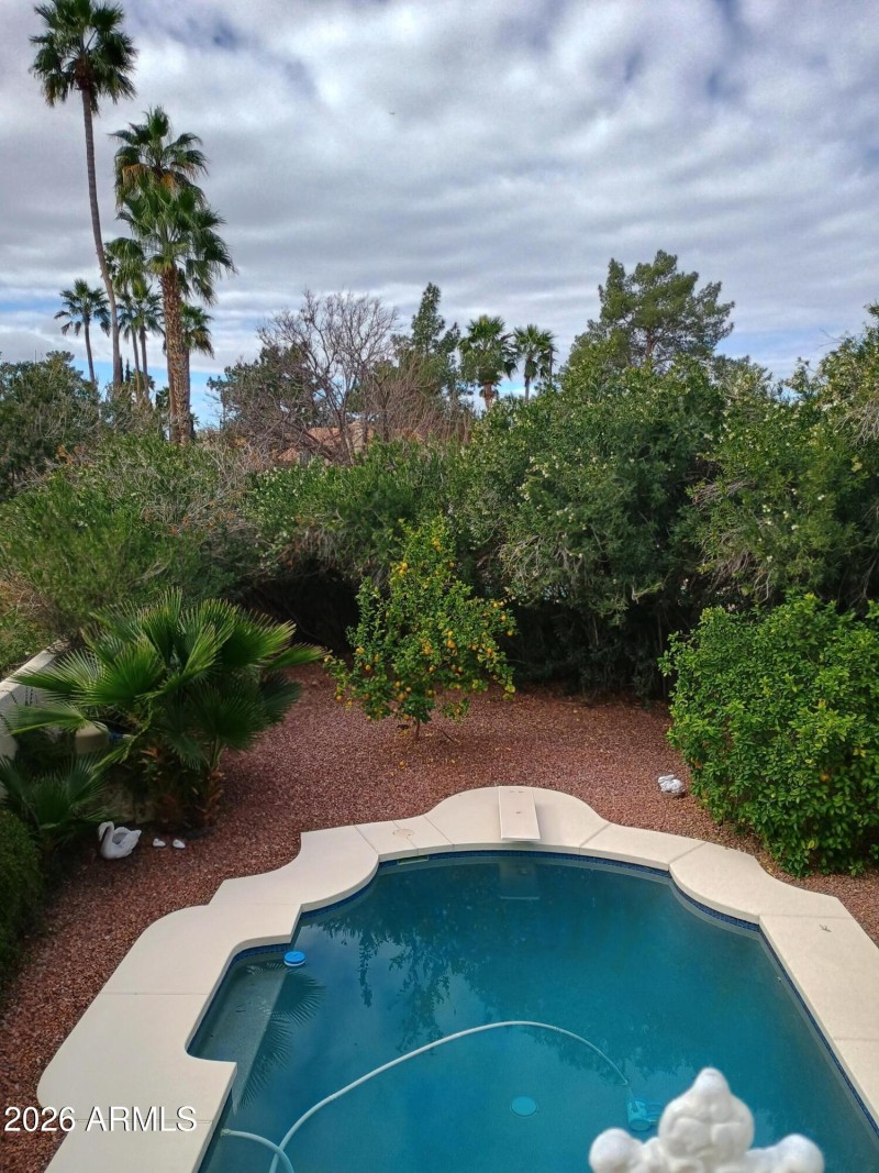 Backyard from Balcony