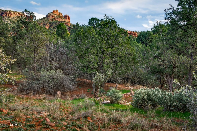 40 Highland Dr South Sedona AZ-61