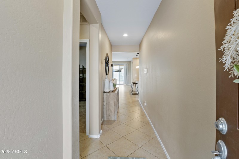 12041WCottontailRS-004