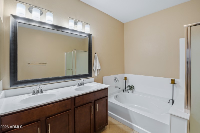 12041WCottontailRS-007